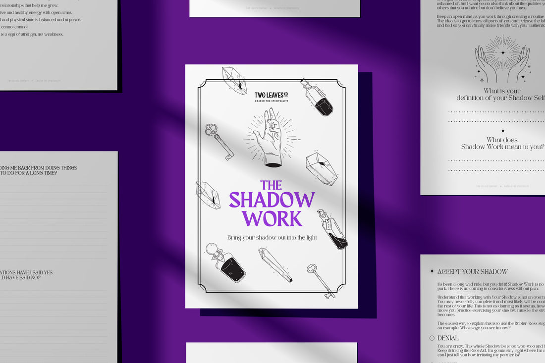 the shadow work journal pdf